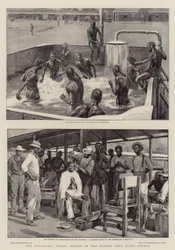 The Transvaal Crisis, Scenes on the Orange Free State Border